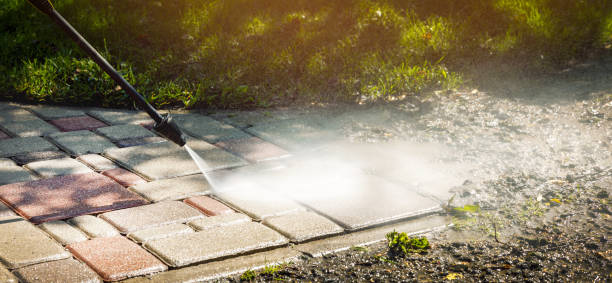 Best Animal Enclosure Cleaning  in Livingston, TX